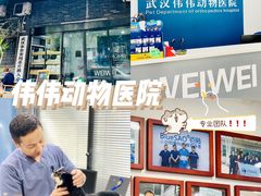 -伟伟宠物医院·CT影像中心·瑞派犬猫综合性门诊(汉口总院)