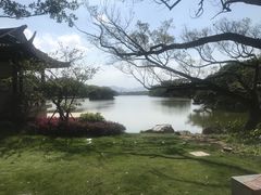 -江心屿景区