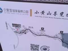 -六里坪国家森林公园