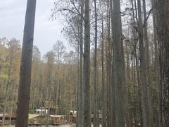 -波尔登森林公园