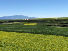 -扁都口生态休闲旅游区