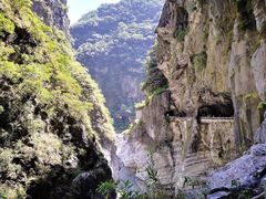 -太鲁阁公园