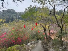 -龙门水都景区