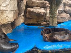 -华夏文旅海洋公园