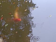 -水濂山森林公园