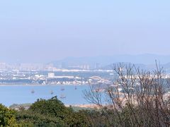 -香雪海