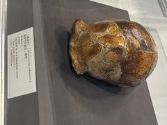-北京周口店北京人遗址博物馆