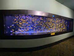 -成都浩海立方海洋公园