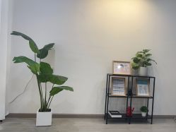 -楚沅先生专业男士脱毛连锁