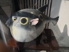 -肆月河豚·新淮扬(金融街店)