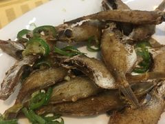 -蛇口康乐快餐鱼仔档(翠苑小区店)