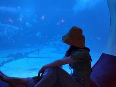 -烟台海昌鲸鲨海洋公园