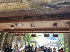 -西双版纳原始森林公园
