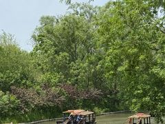 -溱湖国家湿地公园