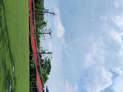 -长洲岛都市农业公园