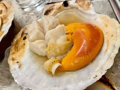 鲜甜大元贝-白仁仔· 活烤海鲜 宵夜(豫园店)