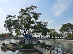 -鹅湖玫瑰文化园