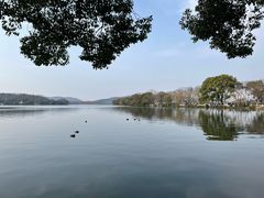 -西湖外事游船(花港观鱼码头)