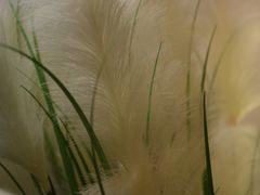 -盛江山自助料理(奥莱锦辉购物广场店)