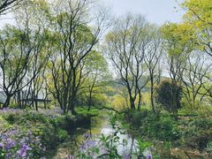 -西湖风景区-江洋畈生态公园