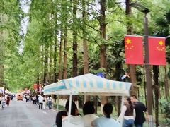 -黄海国家森林公园