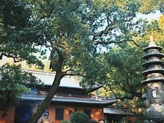 -普陀山风景名胜区-法雨禅寺