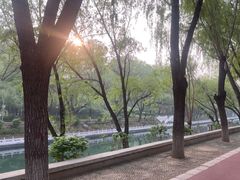 -南长河公园