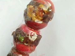 红豆沙糖葫芦-糖葫芦王保定名吃(古莲花池店)