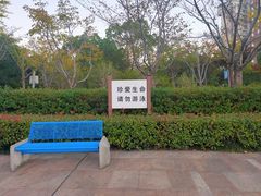 -新江湾城公园