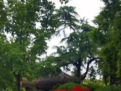 -南通博物苑-崇川人民公园