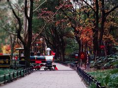 -上海共青森林公园