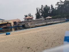-广东惠东海龟国家级自然保护区