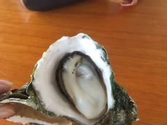 -南蚝小贝海鲜特色餐厅(南澳岛店)