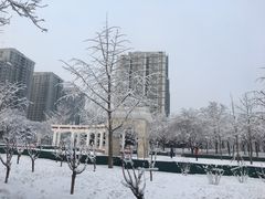 -文三里屯面馆(三里屯店)