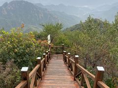 -大岭沟猕猴桃谷风景区