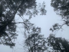 -龙苍沟森林公园