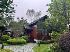 -美的鹭湖森林度假区