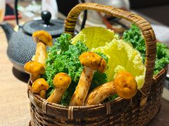 -蘑界·野生菌火锅(深业上城店)