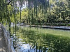 -南长河公园