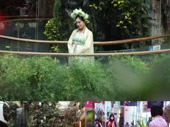 -正佳雨林生态植物园