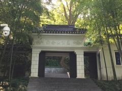 -上海佘山国家森林公园西佘山园