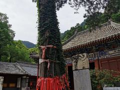 -北京上方山国家森林公园