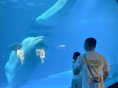 -海合安成都极地海洋公园