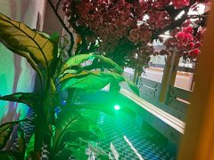-纽斯洗浴SPA(三墩店)