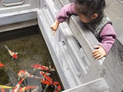 -鲤院·新中式美学·庭院餐厅(夫子庙店)