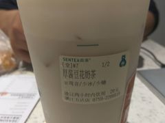 -森茶(湛江万达店)