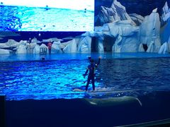 -福州罗源湾海洋世界旅游区