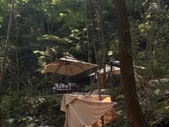 -牛背梁国家森林公园