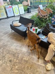 -咪咪专业脱毛连锁机构