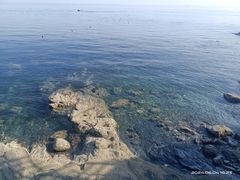 -大连金石滩滨海国家地质公园